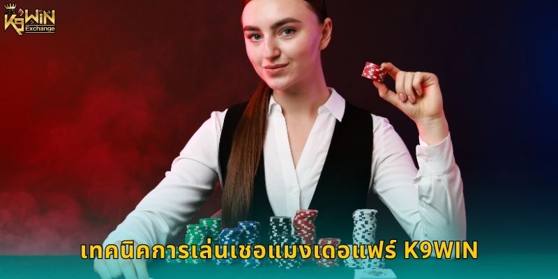 เชอแมงเดอแฟร์ k9win เกมไพ่คลาสสิก 2 เทคนิคการเล่นเชอแมงเดอแฟร์ k9win